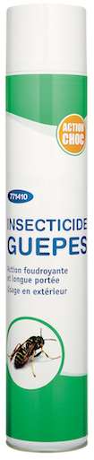 AEROSOL INSECTICIDE ANTI FRELONS/GUEPES PORTEE 4M 750 ML