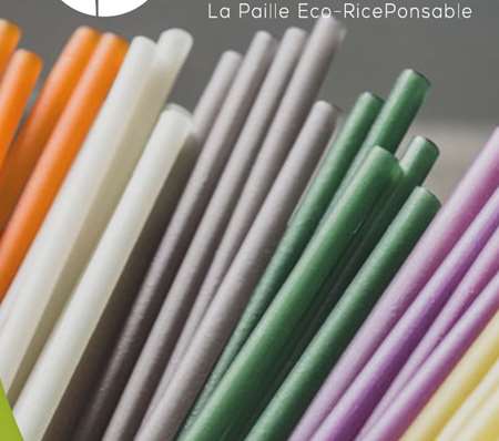 PAILLE ECO-RICE BIODEGRADABLE 210 MM MYPAI VERTPOMME S100